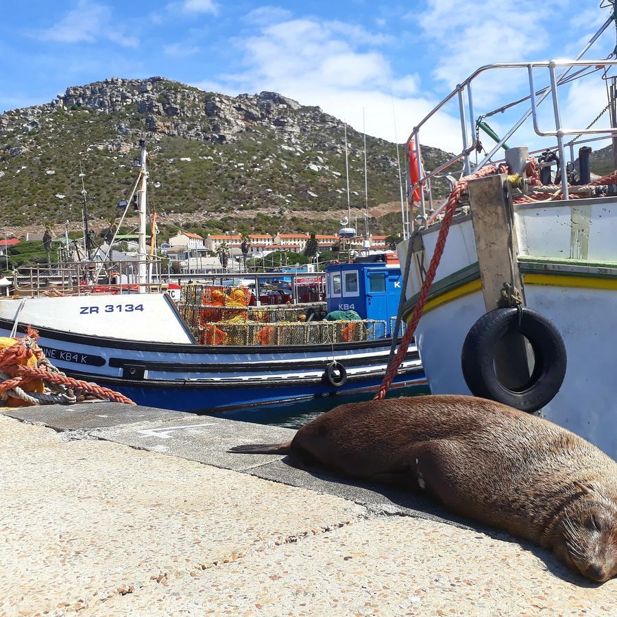 Rosmead Apartment Kalk Bay Exterior foto